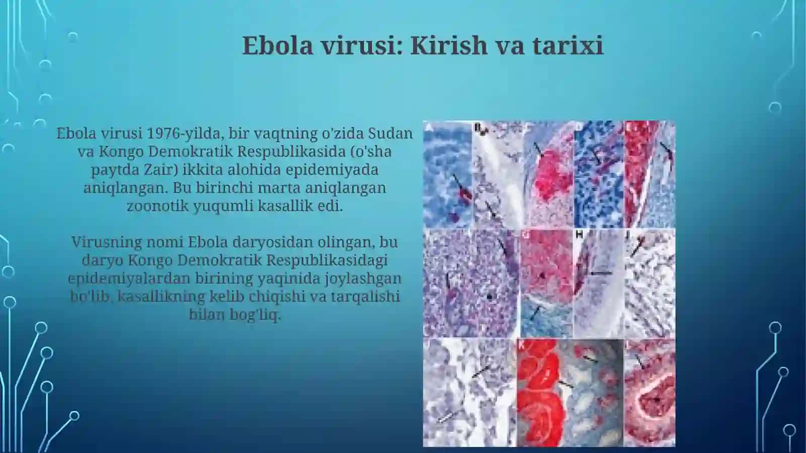 Ebola, Lassa va Zika viruslari: Umumiy koʻrinish 3