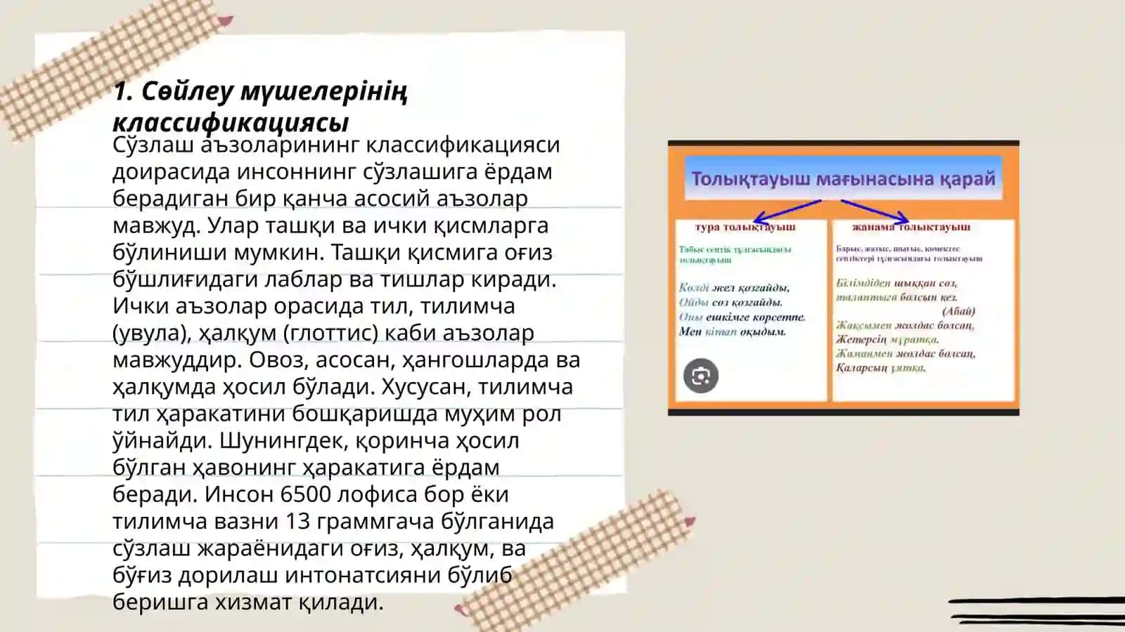 Сөйлеу мүшелерінің классификациясы 3