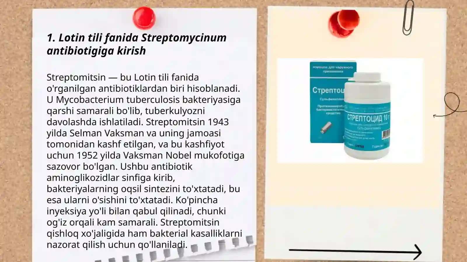 Streptomycinum antibiotigi 3
