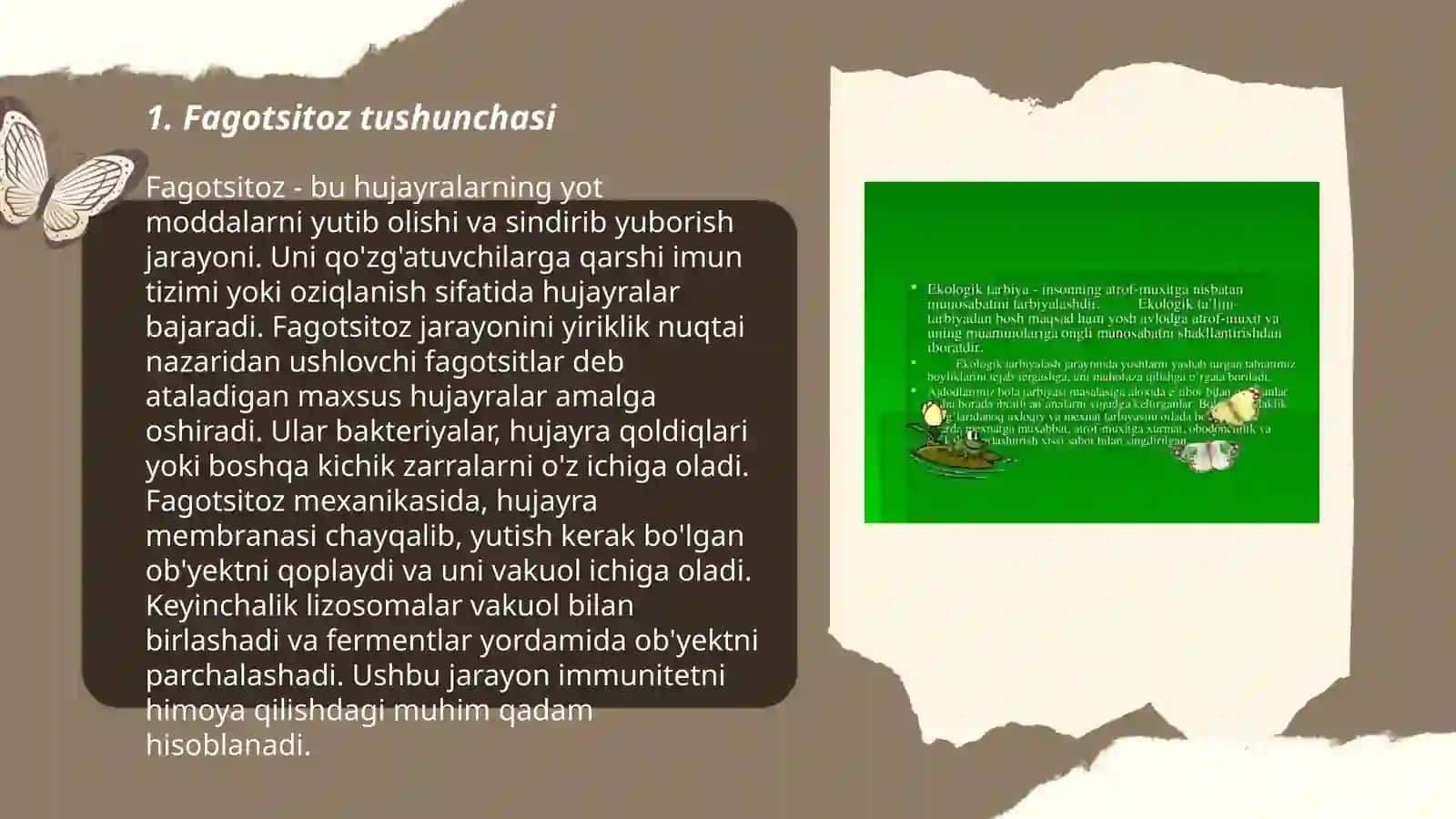 Fagotsitoz va uning bosqichlarini oʻrganish 3