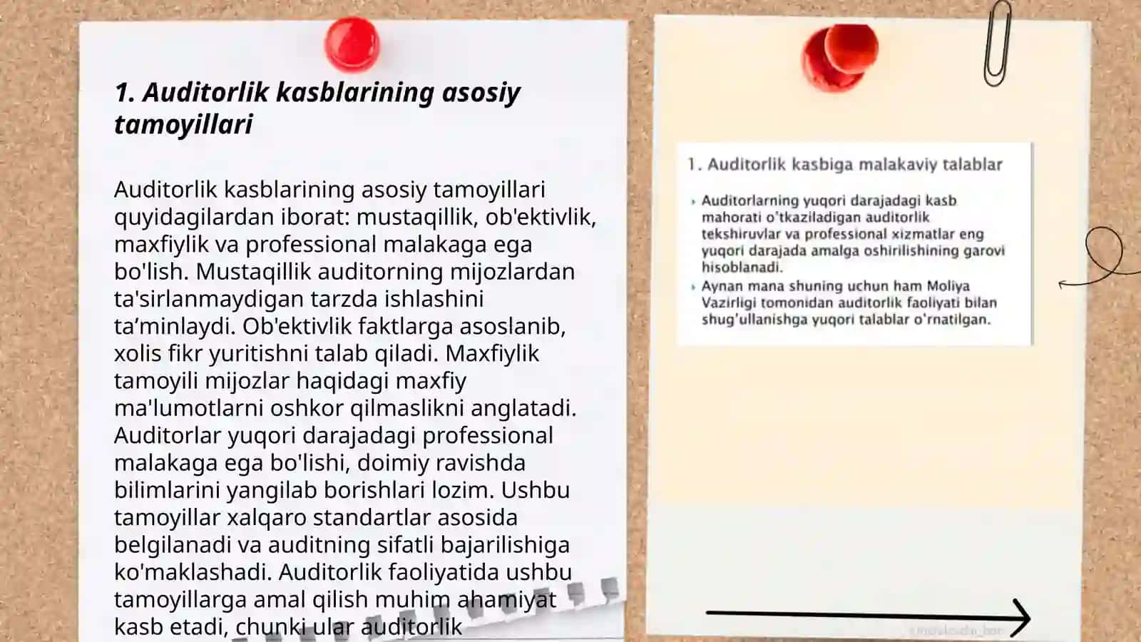 Auditorlik kasb etikasi 3