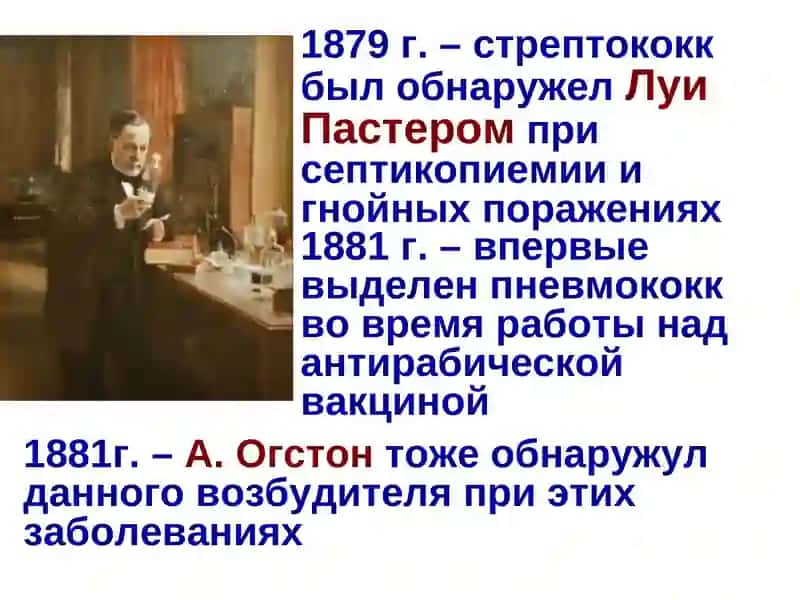 Стрептококки 3