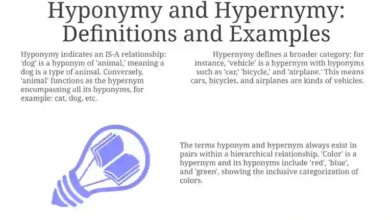 Hyponymy and Hypernymy: Definitions and Examples 3