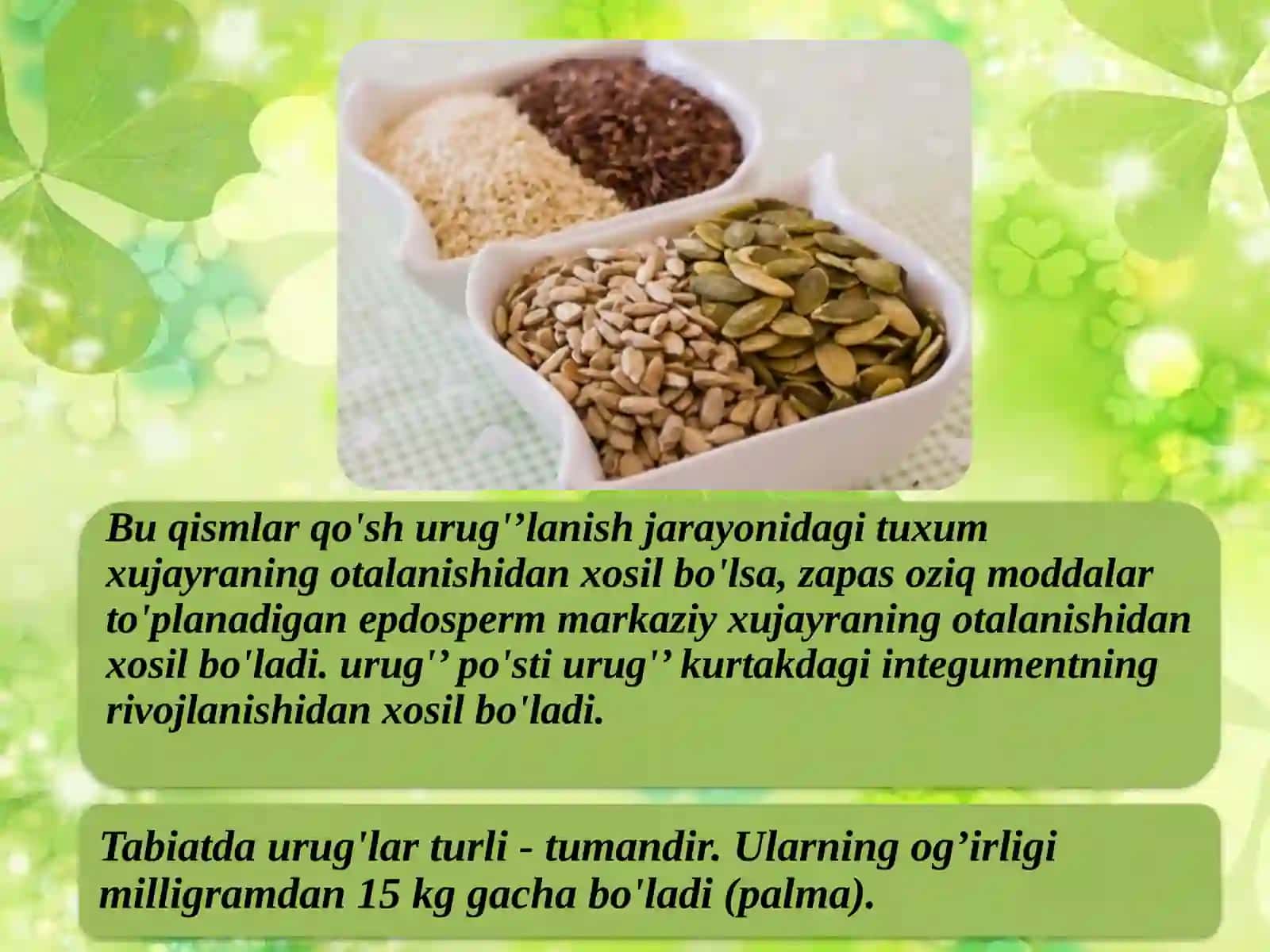 Urug’ning tuzilishi 3