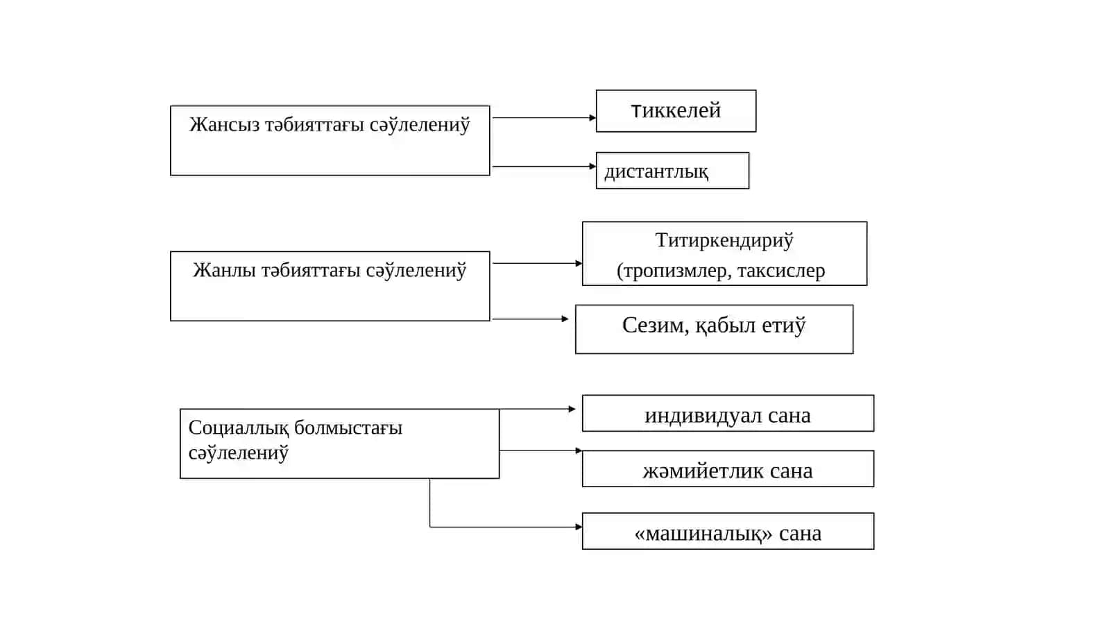 Философияда сана проблемасы 3