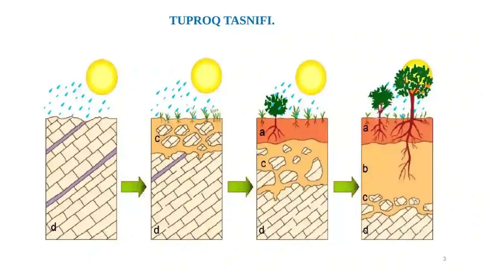 TUPROQ TASNIFI 3