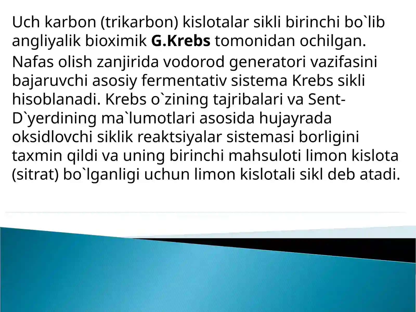 Krebs Sikli 3