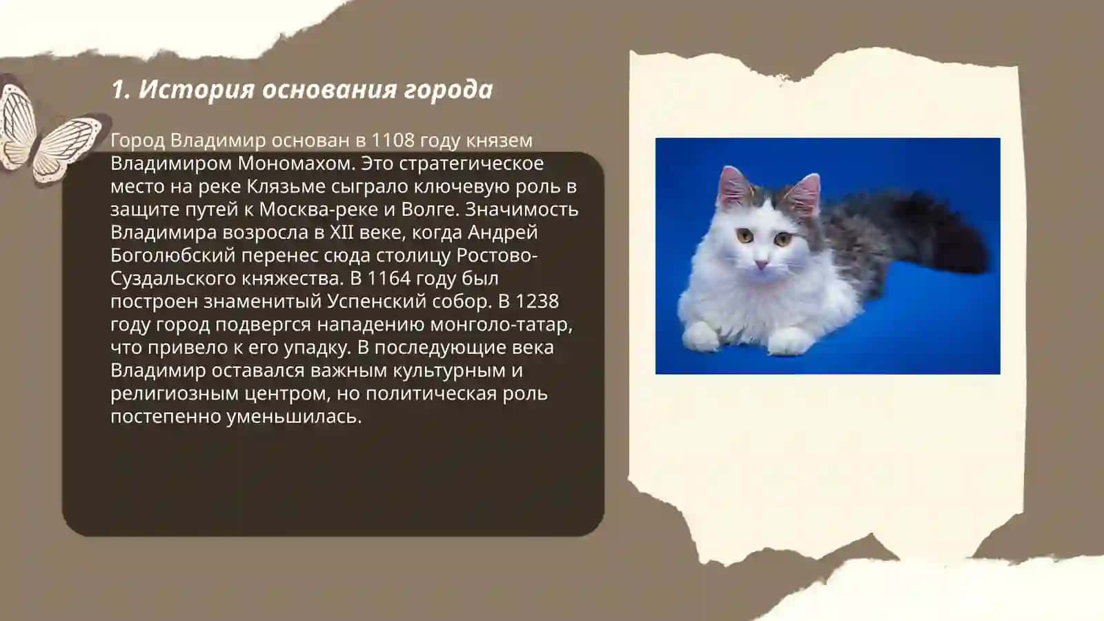 Город, в котором я живу. История и современное состояние моего города 3