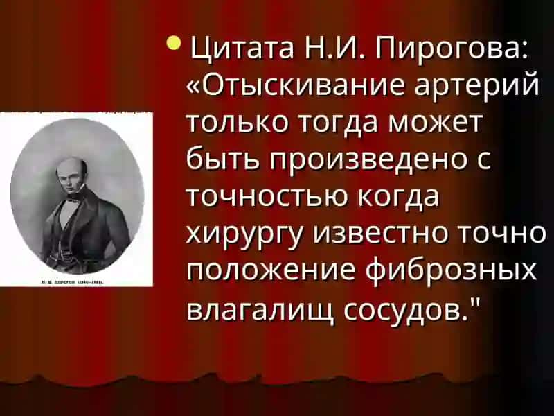 Клиническая анатомия (ОХТА) 3