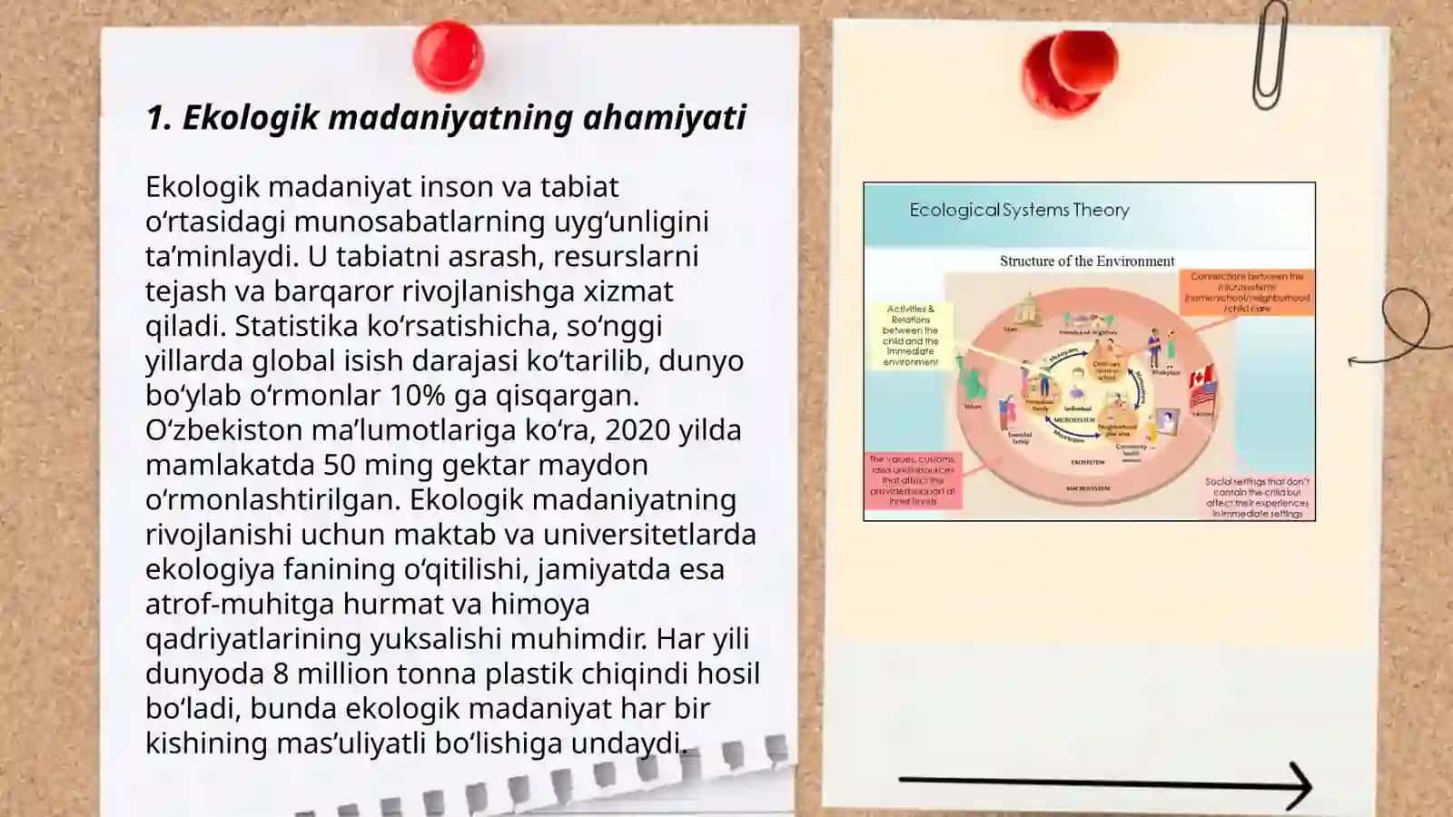 Ekologik madaniyat 3