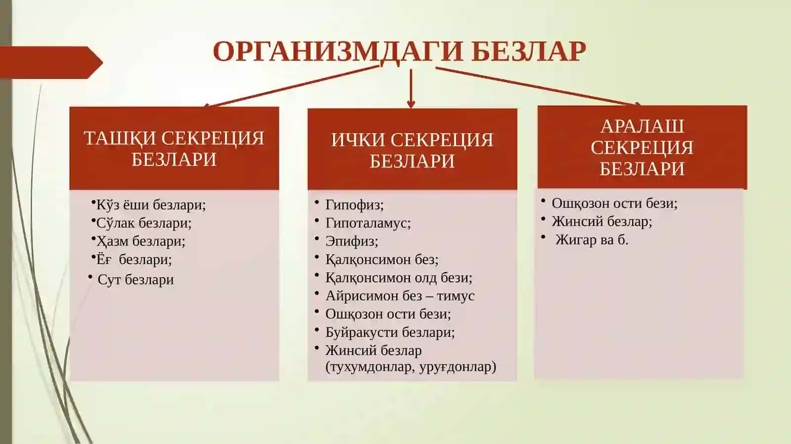 ЭНДОКРИН БЕЗЛАРИ 3