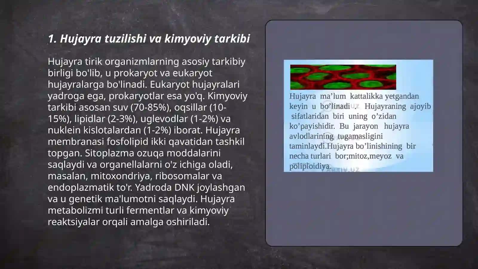 Hujayraning kimyoviy tarkibi 3