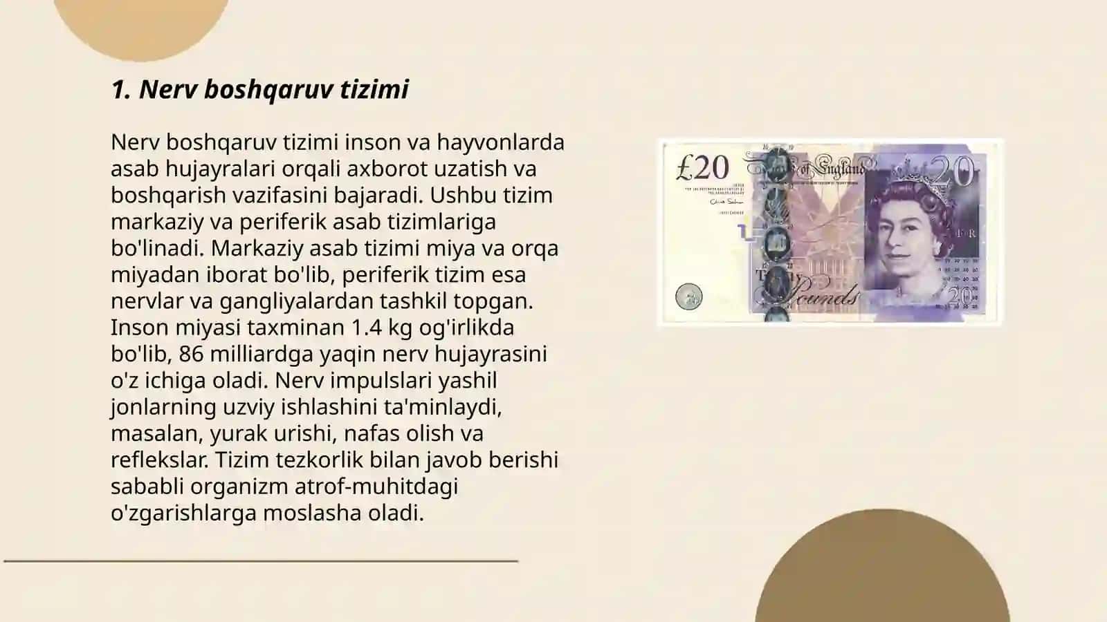 Nerv va Gumoral Boshqaruvning Farqlari 3