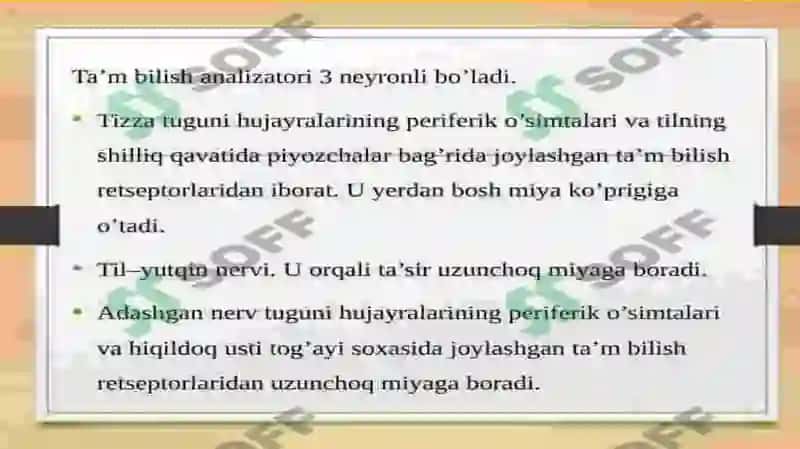 Tam bilish idroki 3