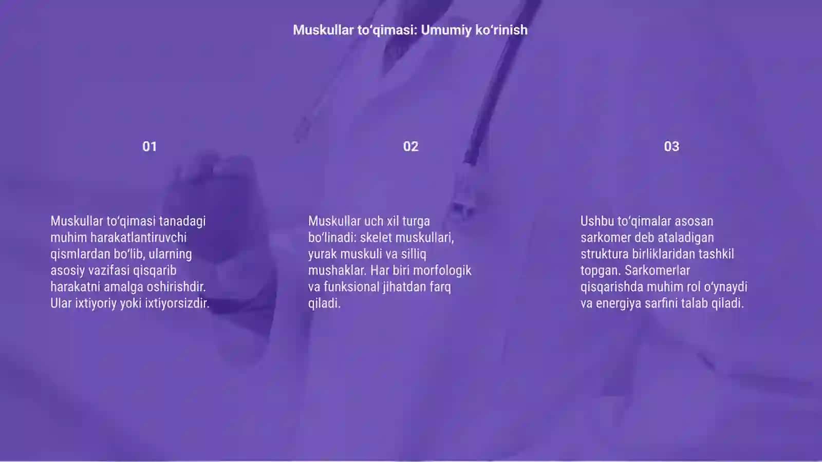 Muskullar toʻqimasi marfalogiyasi 3