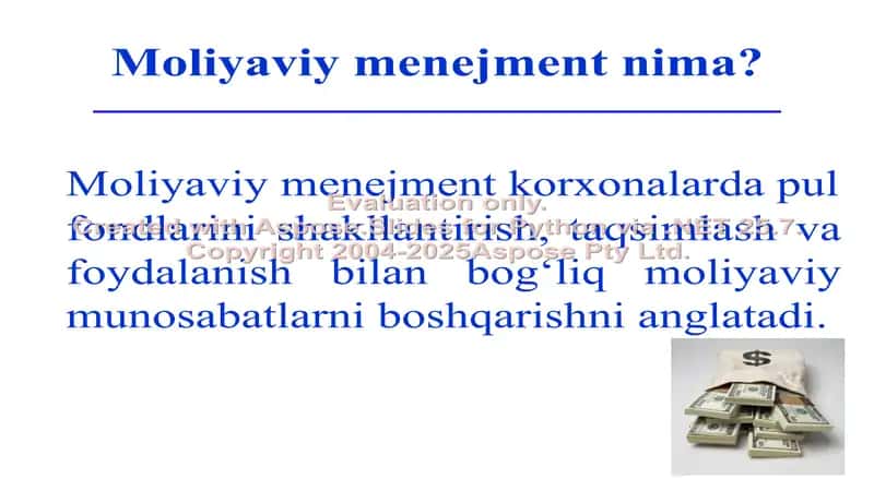 Moliyaviy menejmentning funksiya va tamoyillari 3