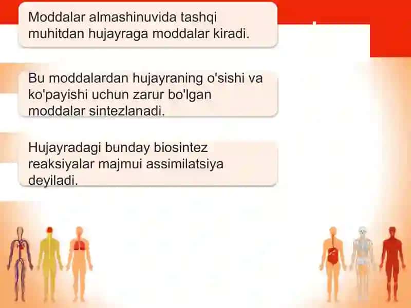Hujayra va organizmning hayotiy xossalari 3