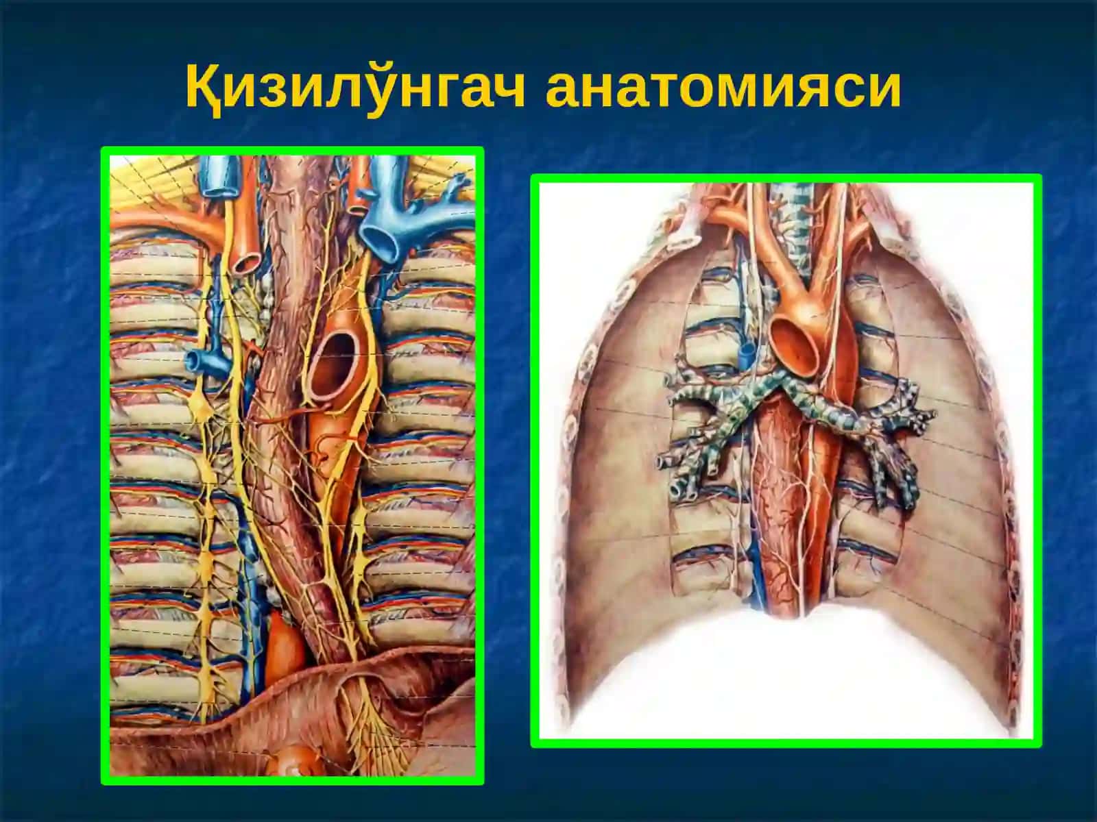 Қизилўнгач касалликлари. Кардиоспазм 3