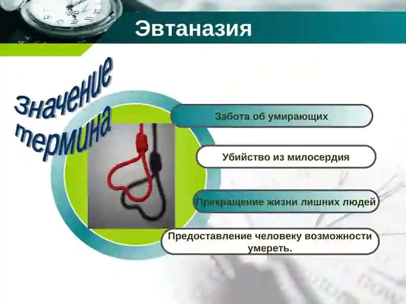 Эвтаназия: за и против 3