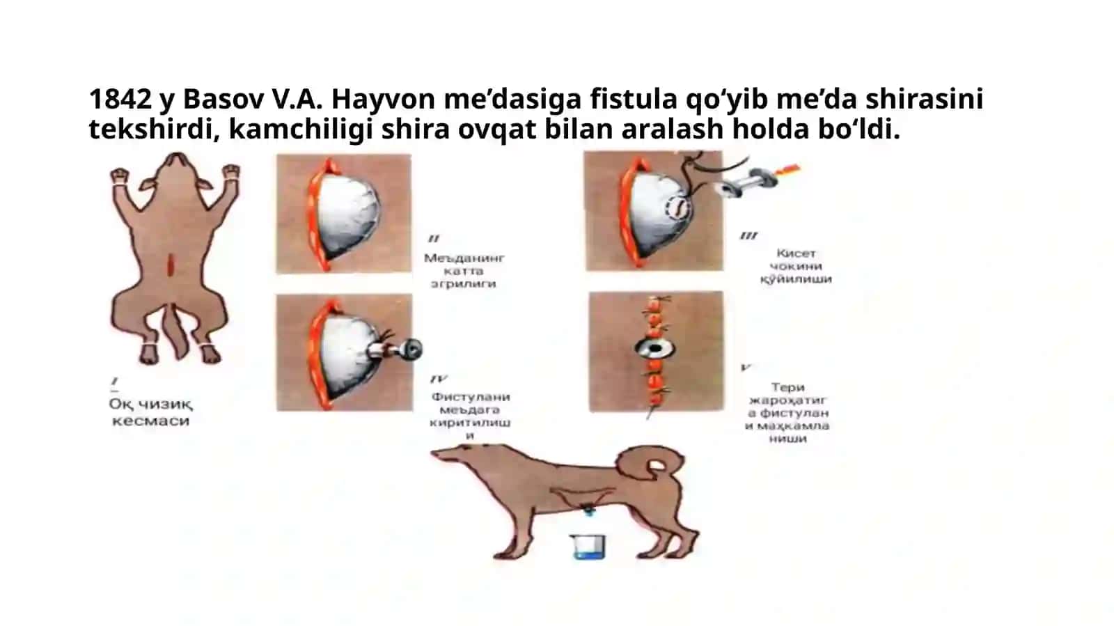 Havzi tizimining oʻrganish usullari 3