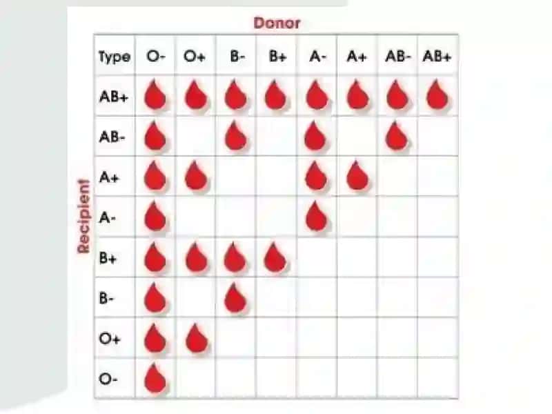 Donorlik 3