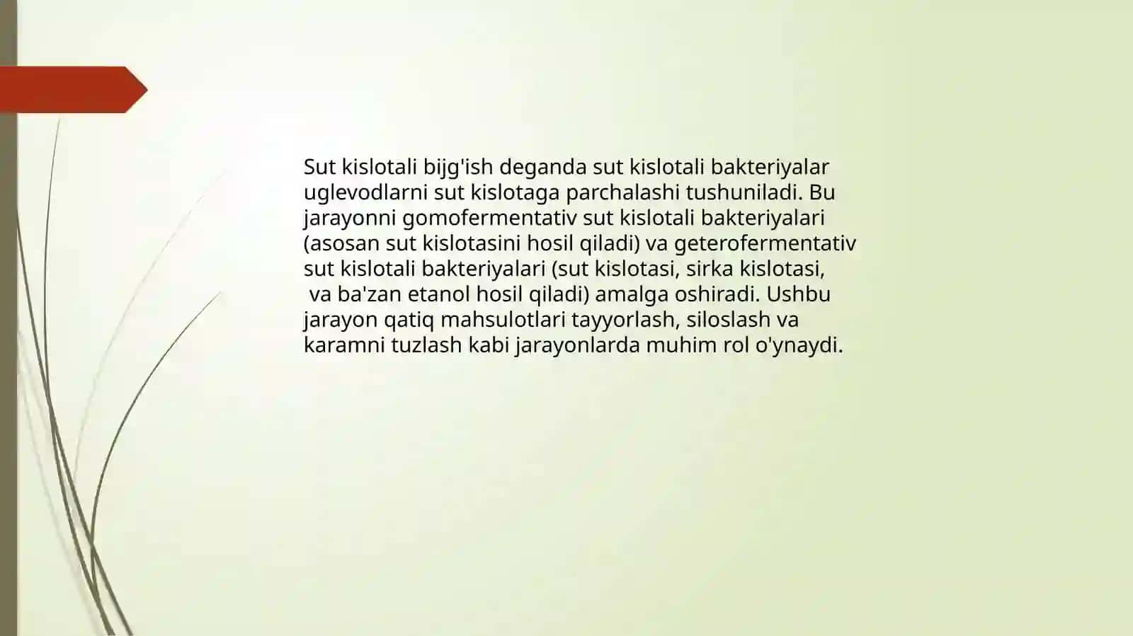 Sutkislotalibijg'ish 3