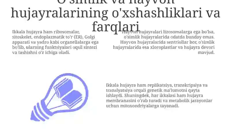O'simlik va hayvon hujayralari: o'xshashliklar va farqlar 3