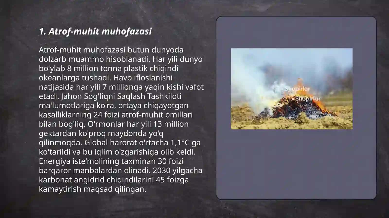 Ekologiya haqida 3