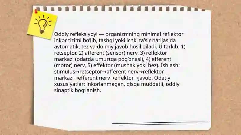 Oddiy refleks yoyi 3