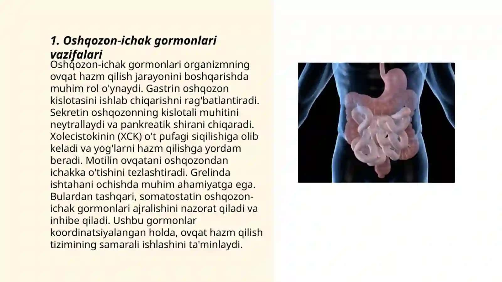 Gastrointestinal gormonlar 3