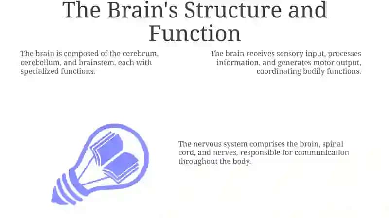 The Brain: A Control Center 3