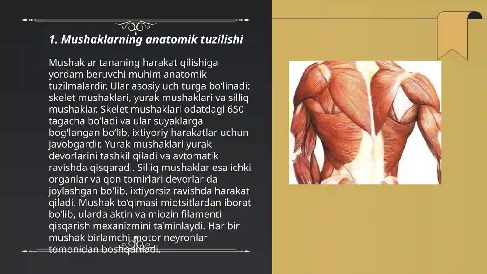 Mushaklarning ishi va biomexanikasi 3