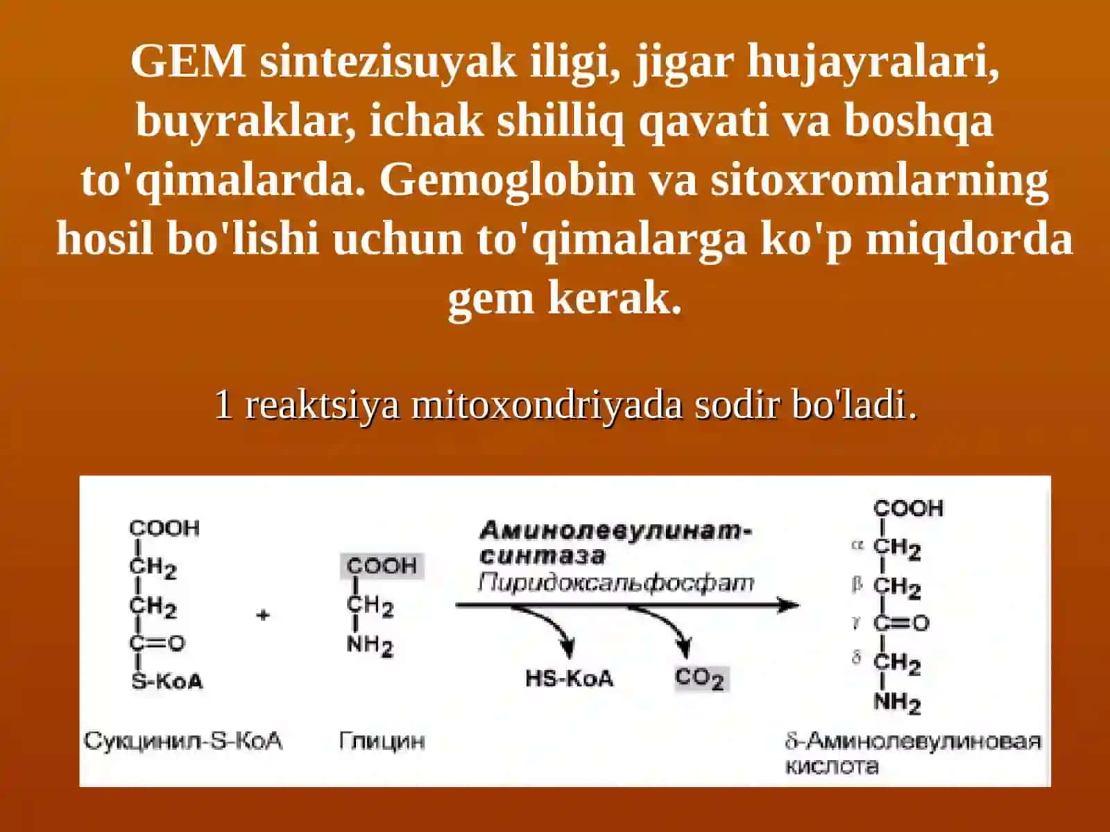 Bioorganik Kimyo - 8-mavzu 3
