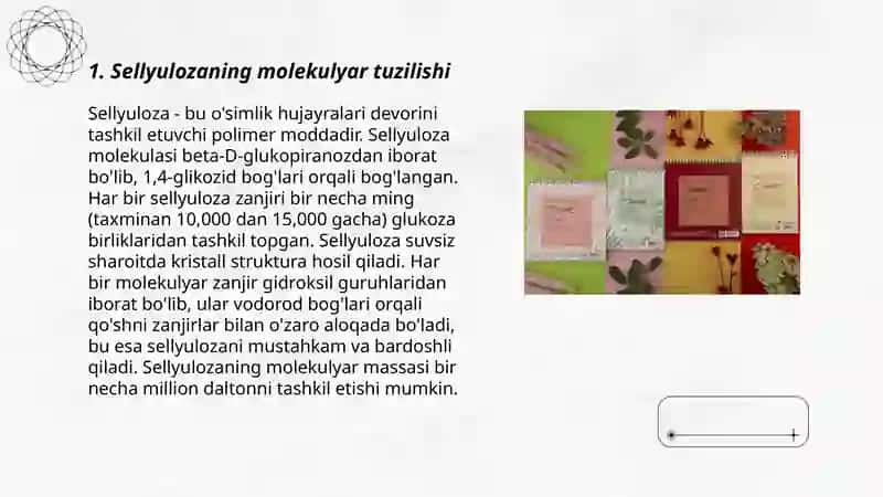 Sellyulozaning parchalinishi 3