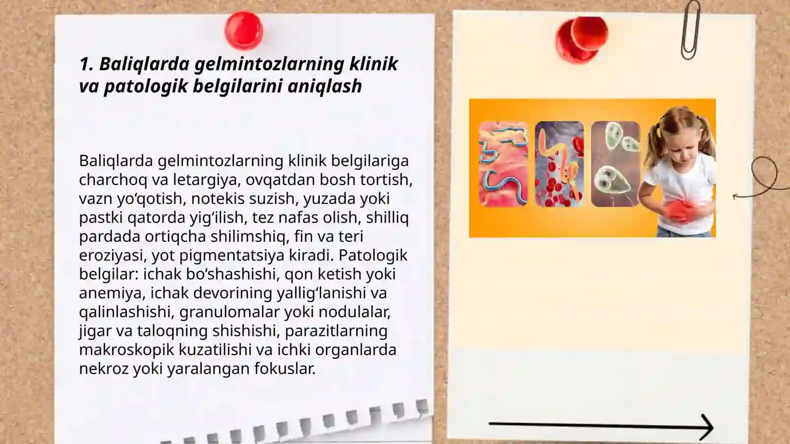 Parazitologik ekspertiza 3