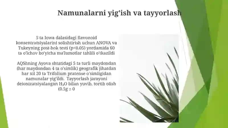 Namuna tayyorlash 3