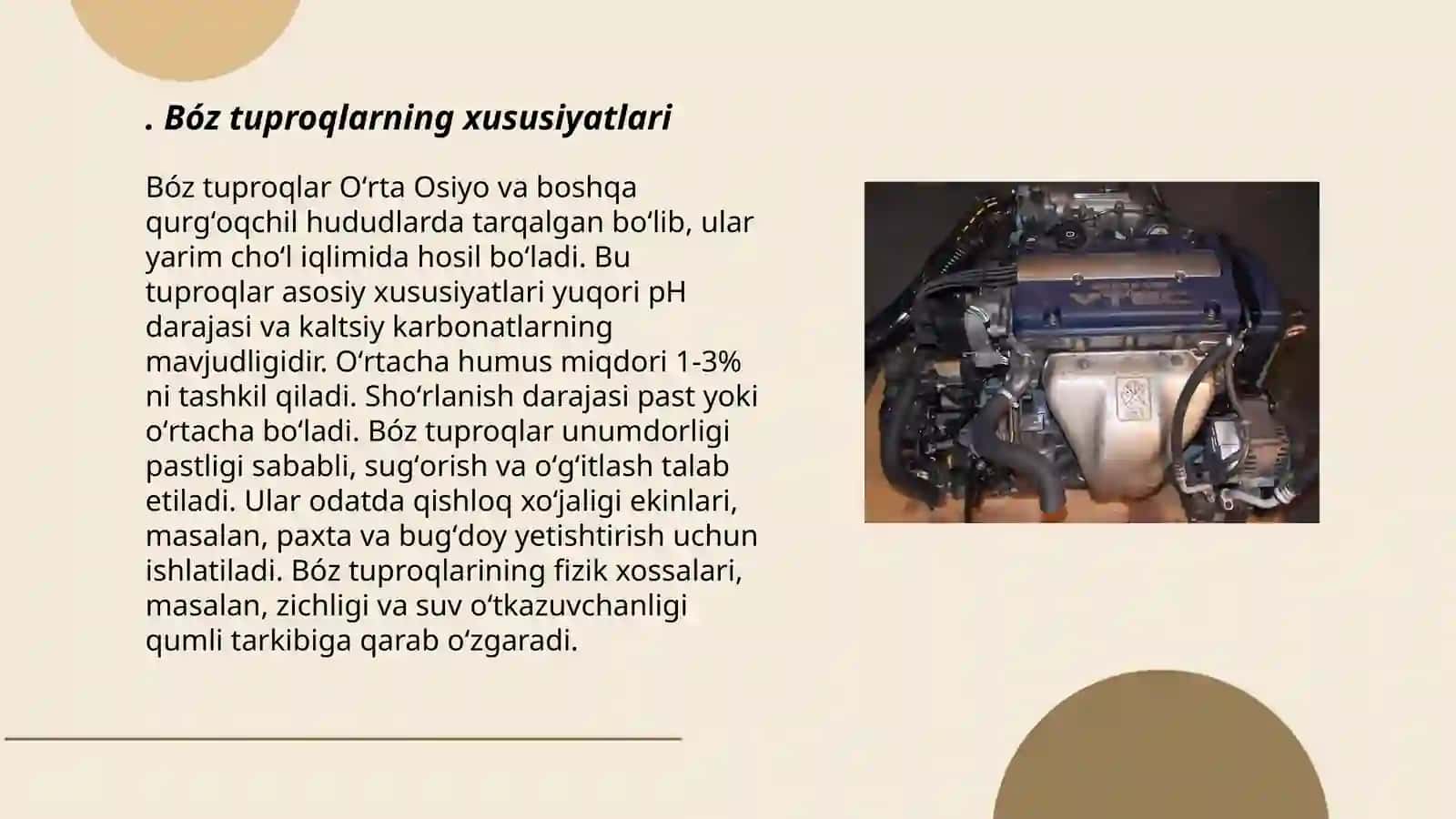 Bóz tuproqlar 3
