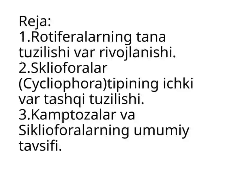 Kamptozoylar (Kamptozoa) 3