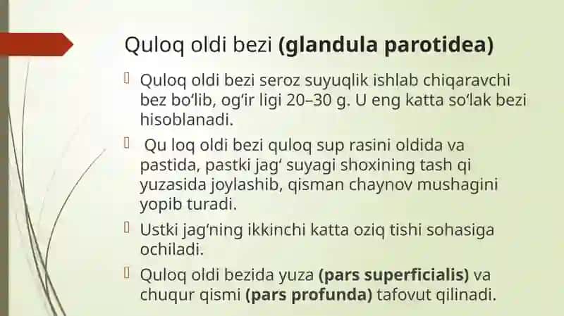 So’lak bezlari 3