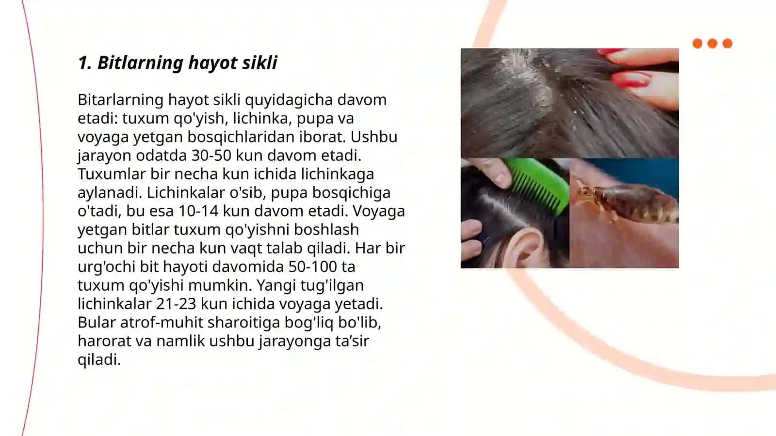 Bitlarning hayot sikli 3