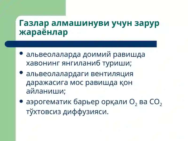 Ташқи нафас тизими патофизиологияси 3