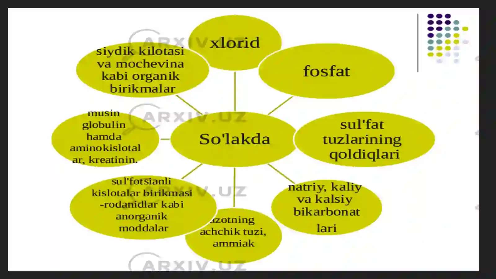 Hazm kanalıdagı shıralar 3