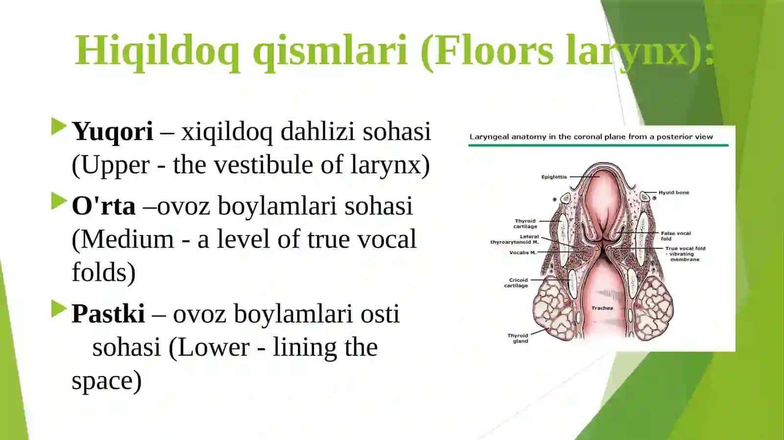 Hiqildoq stenozlari 3