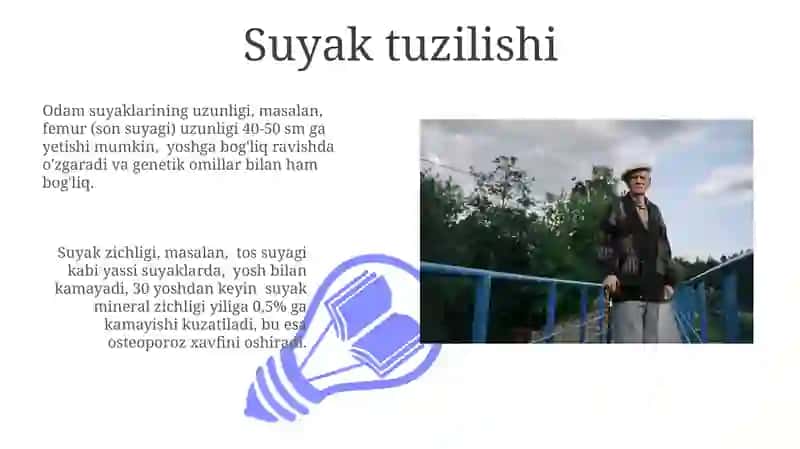 Suyak tuzilishi 3