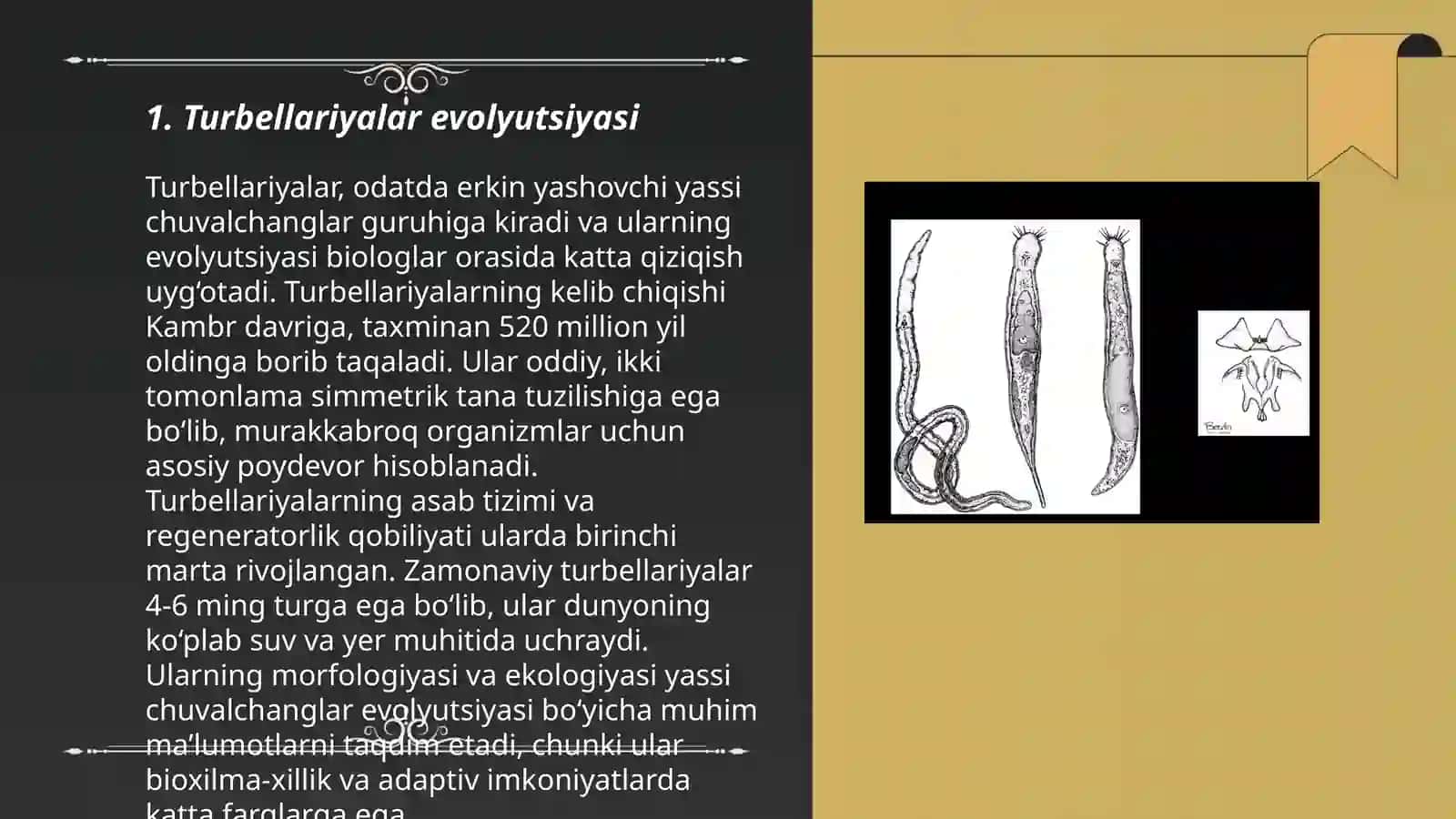 Turbellariyalar filogeniyasi 3