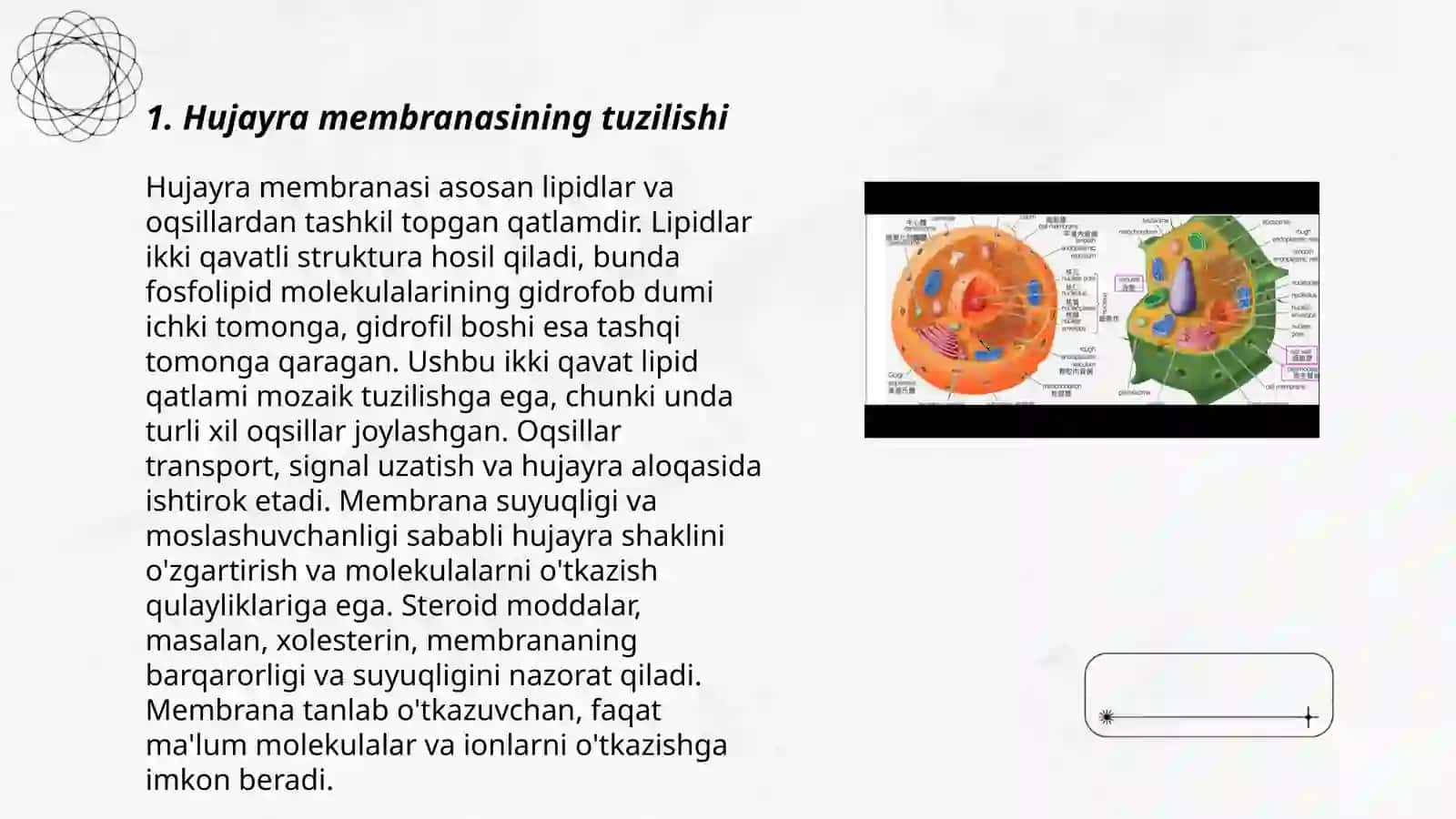 Hujayra menbranalarida ion almashinish 3