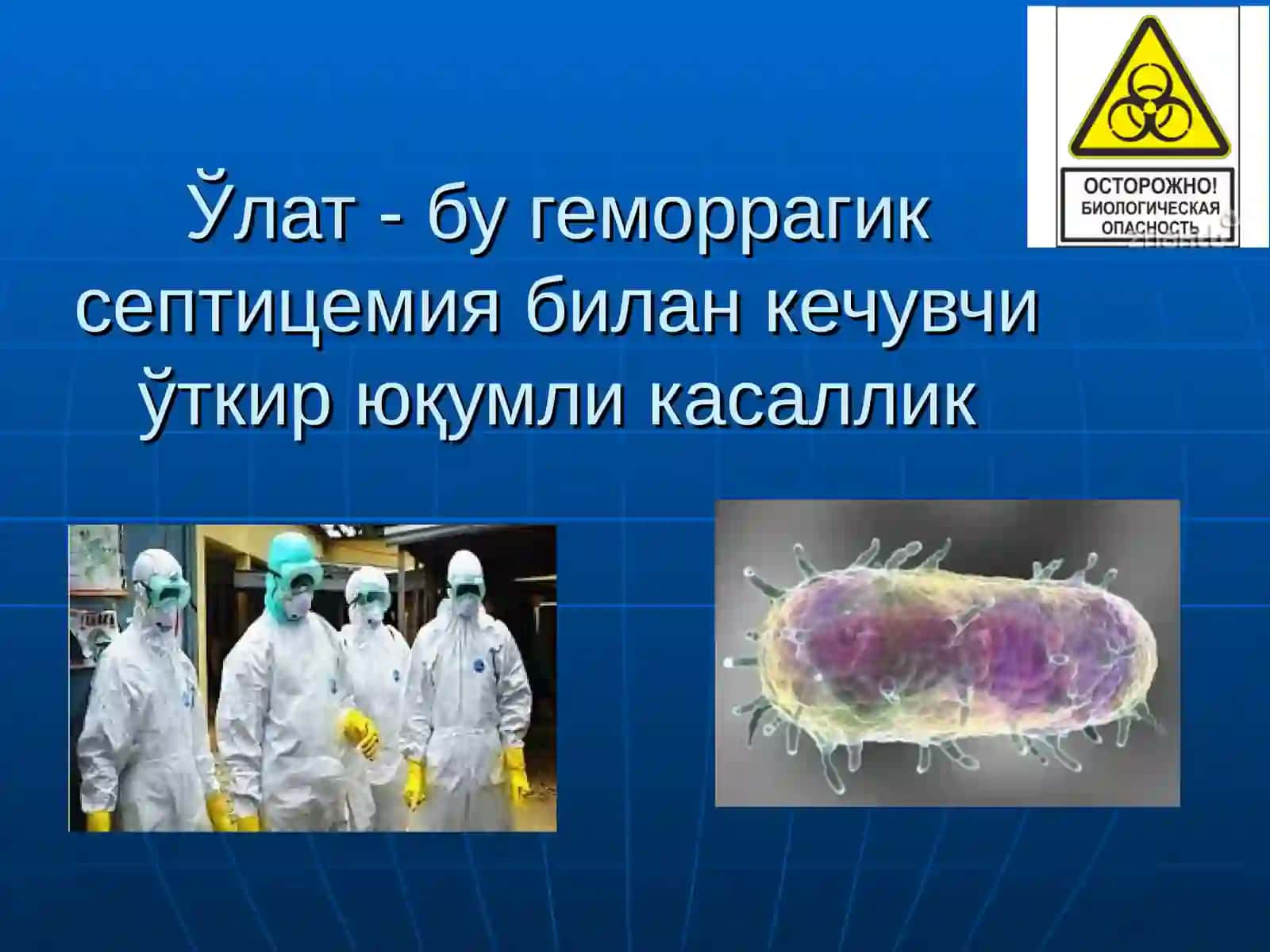 Ўта хавфли инфекциялар қўзғатувчиларига характеристика (ўлат,бруцеллез, туляремия, сариқ иситма) 3