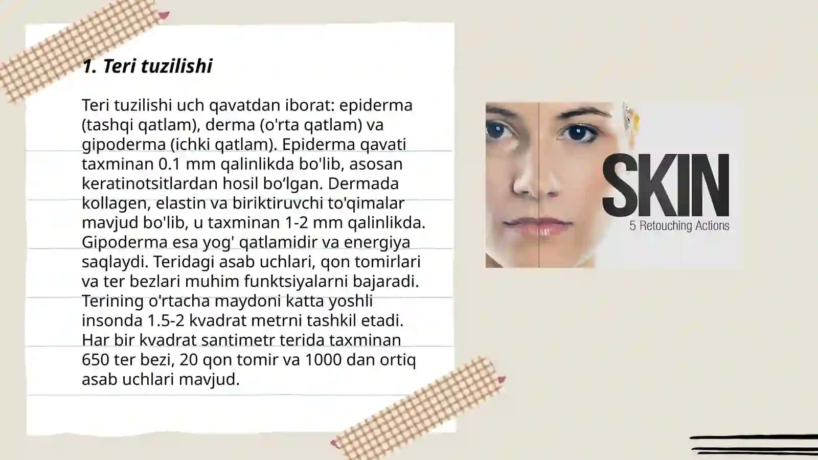Teri funksiyasi 3