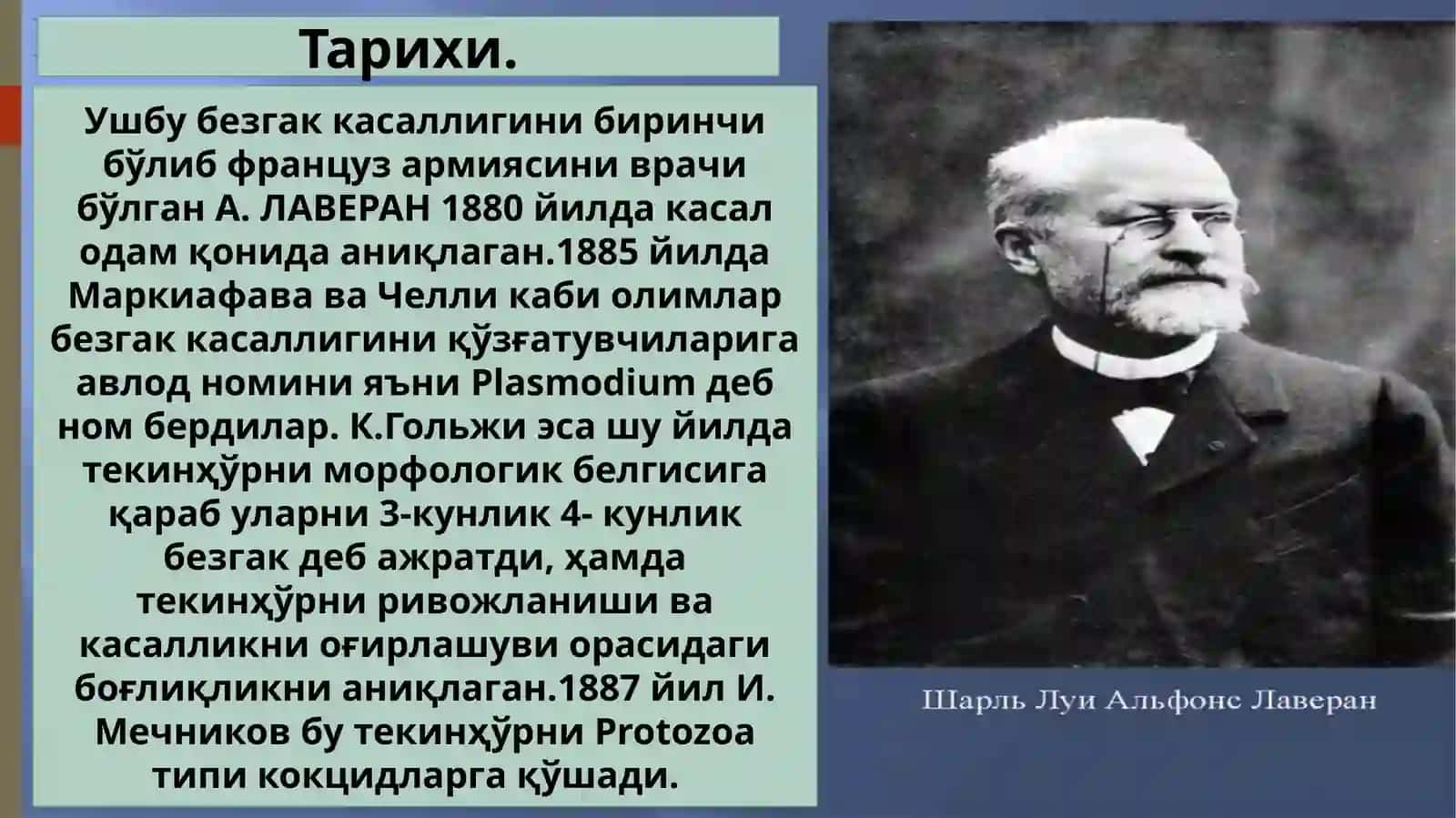 Безгакплазмодияси 3