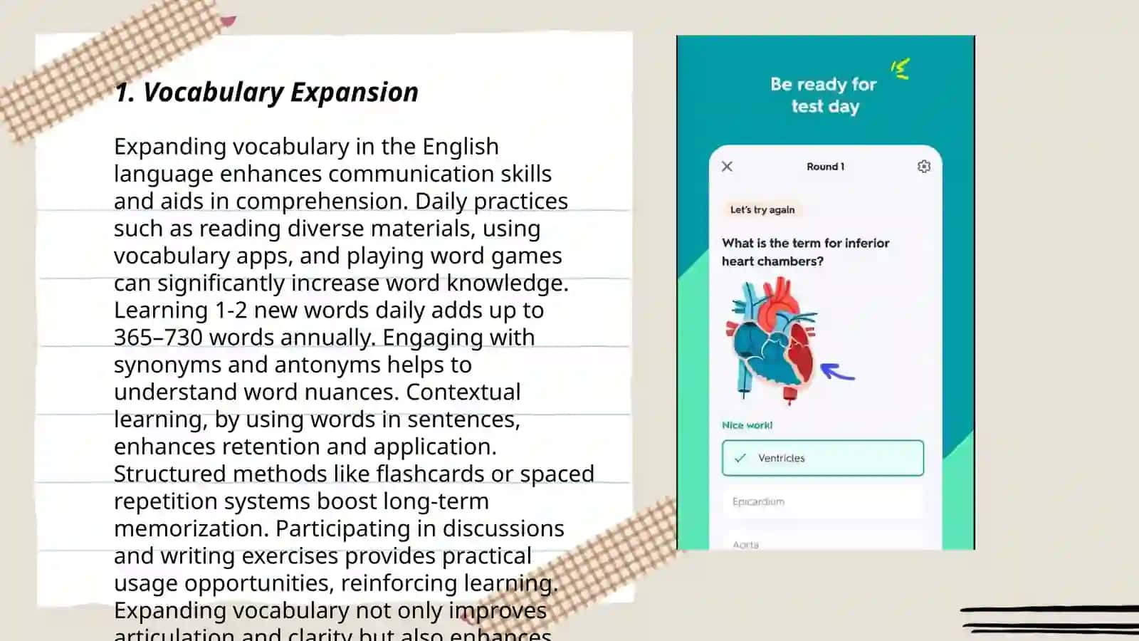Vocabulary Expansion 3